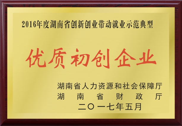 湖南省创新创业带动就业示范典型